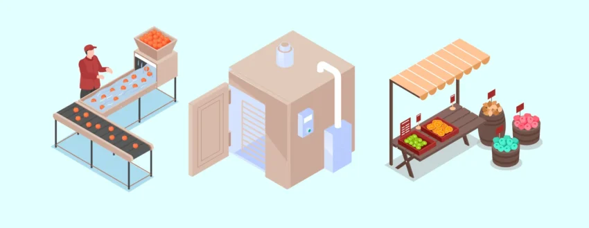 فرآیند خشک کردن میوه